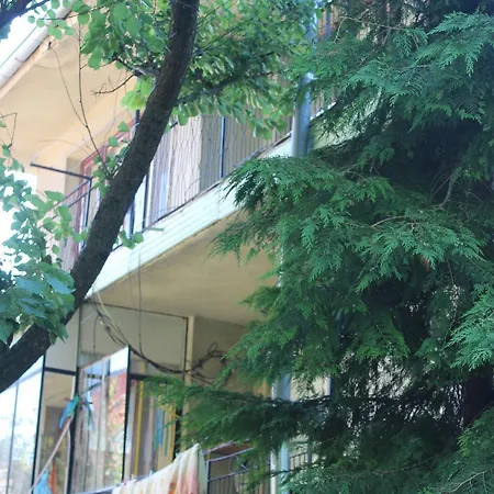 בית הארחה Snezhi בלצ'יק